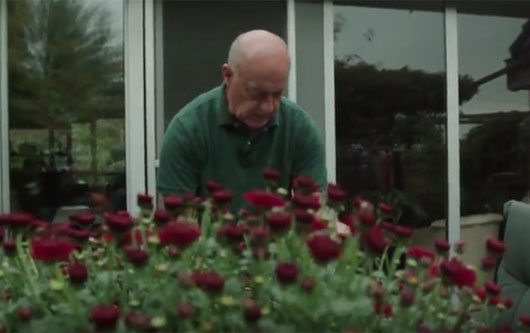 Resonans-klassieke-homeopathie-arnhem-hoege-bloeddruk-bij-operatie